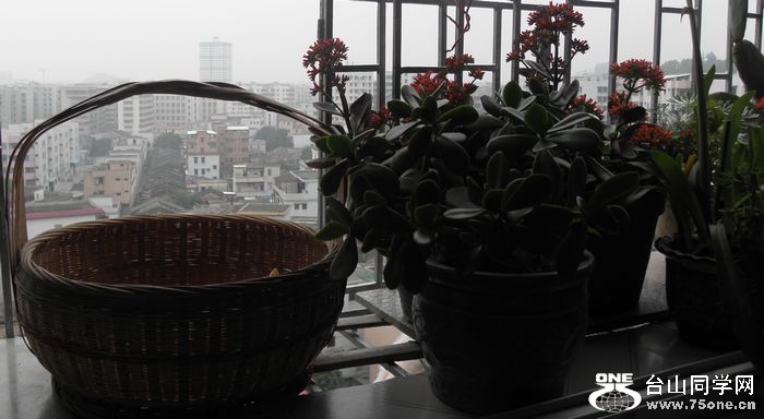 P2214477.jpg