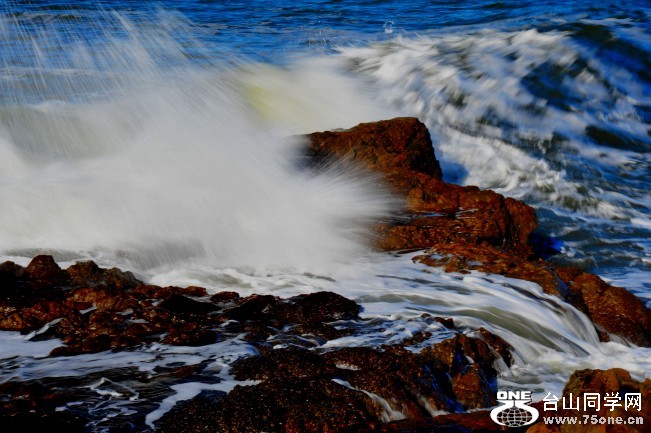 DSC_3943_conew1.jpg