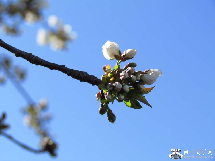IMG_3087.JPG