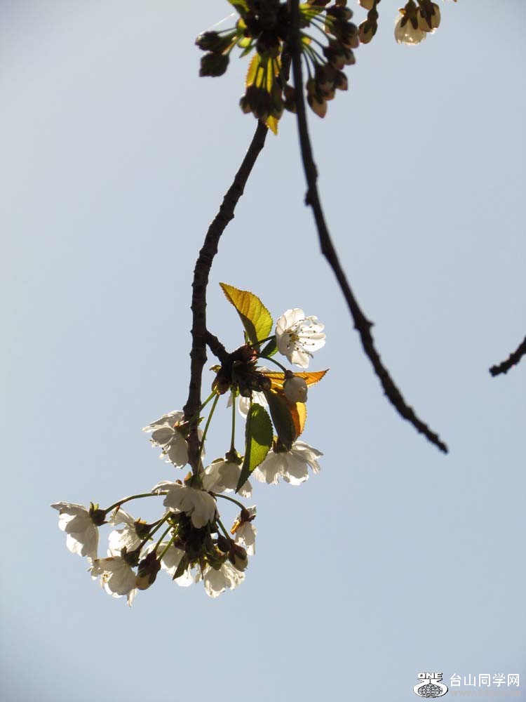 IMG_3074.JPG