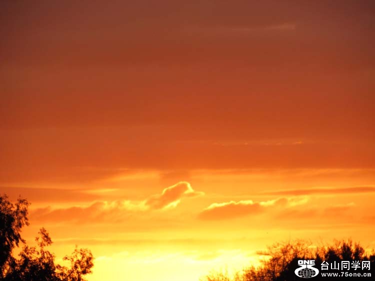 IMG_2674.JPG