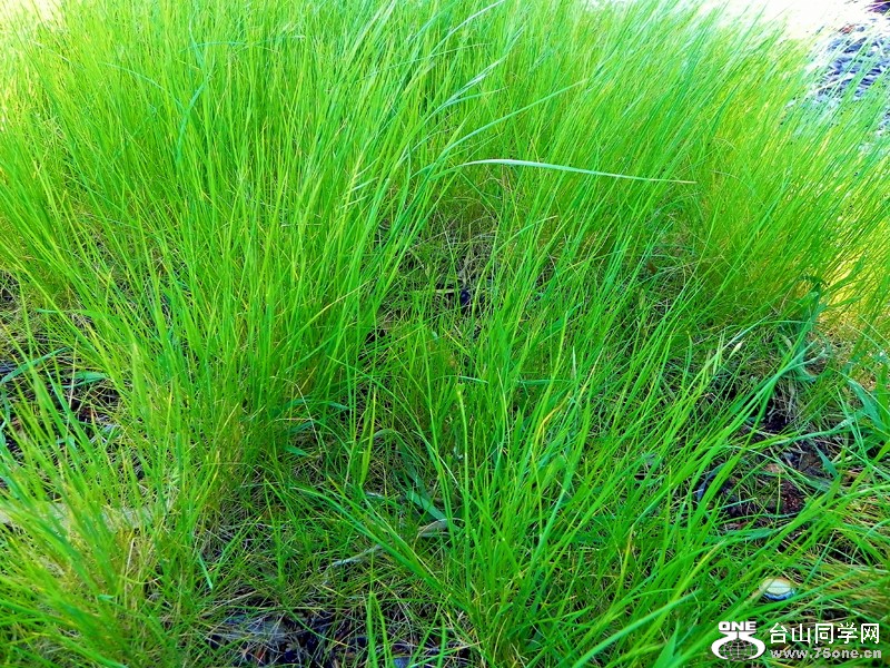 DSCN0563.JPG