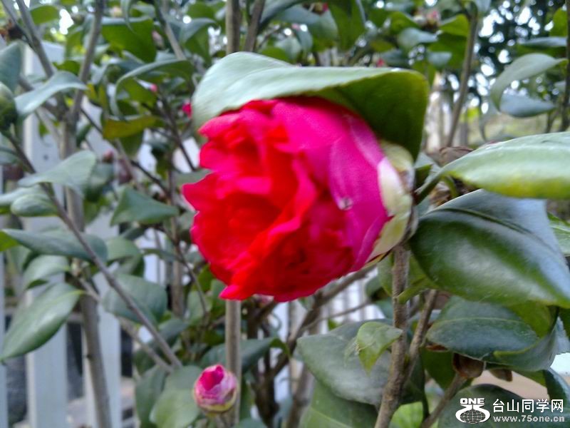 С 201103041648.jpg