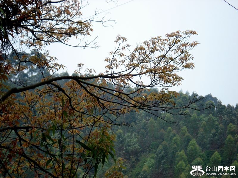 DSC01232.jpg
