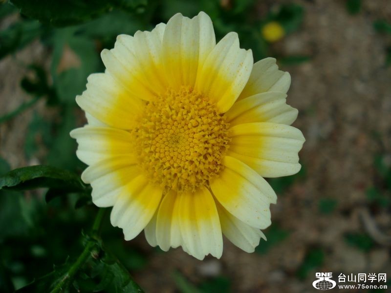 DSC01424.jpg