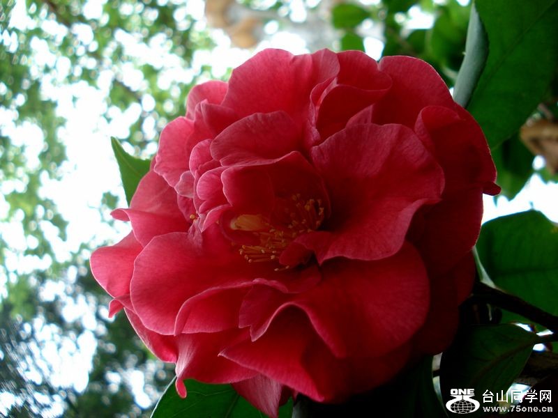 DSC01474.jpg