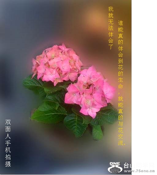 i03.JPG