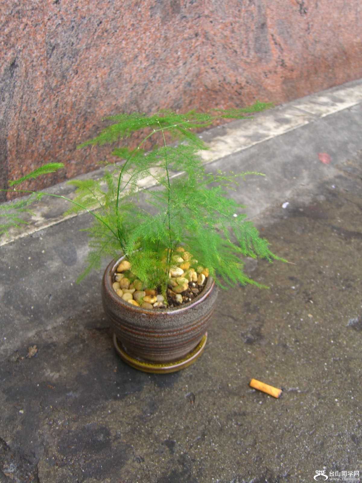 2030 042.jpg