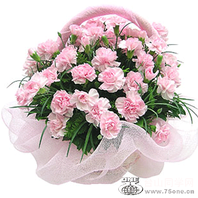 20089248282457978-copy.gif