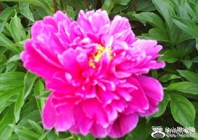 201059143752-copy.jpg