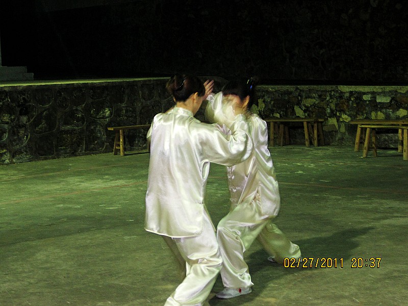 20110227ɽ 208_conew1.jpg