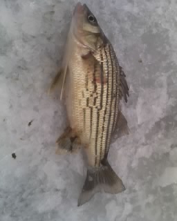 fishing3.jpg