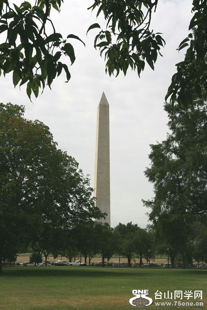 IMG_4161.jpg