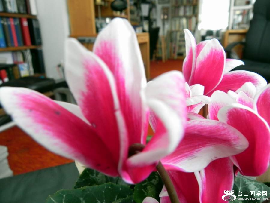 2010 002.jpg