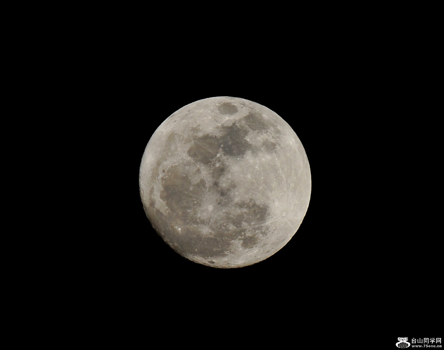 DSC_8527.jpg
