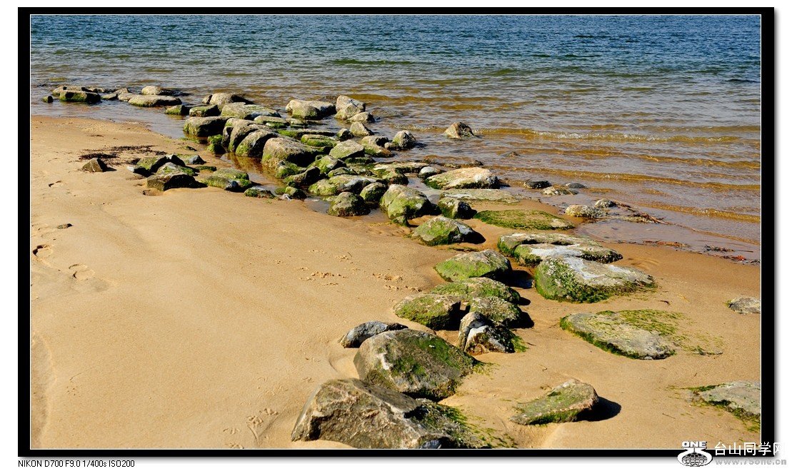 DSC_6584.jpg