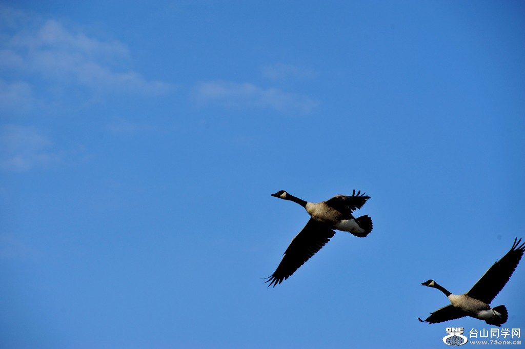 DSC_8109-1.jpg