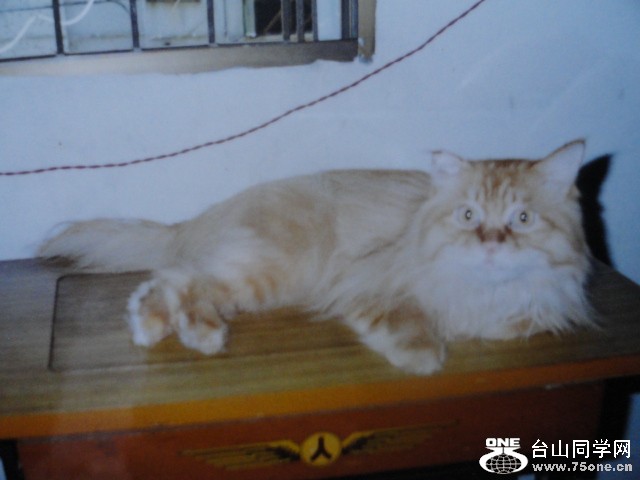 DSC01298.JPG