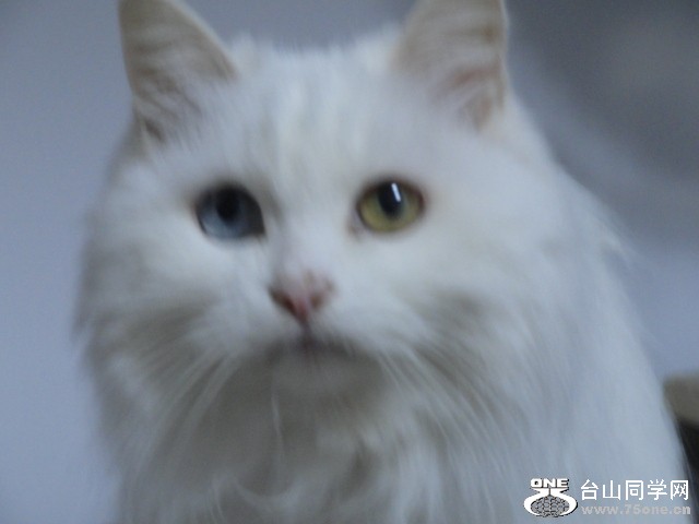 DSC00845.JPG