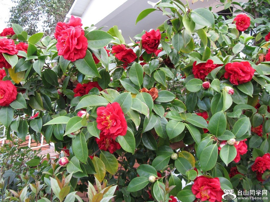 n044.jpg