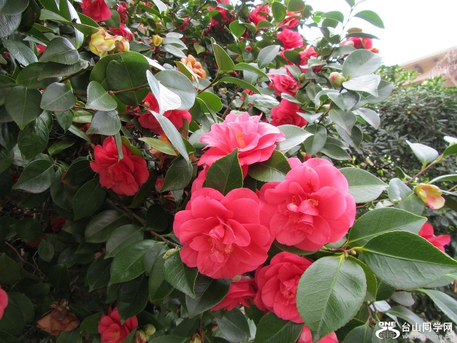 n024.jpg