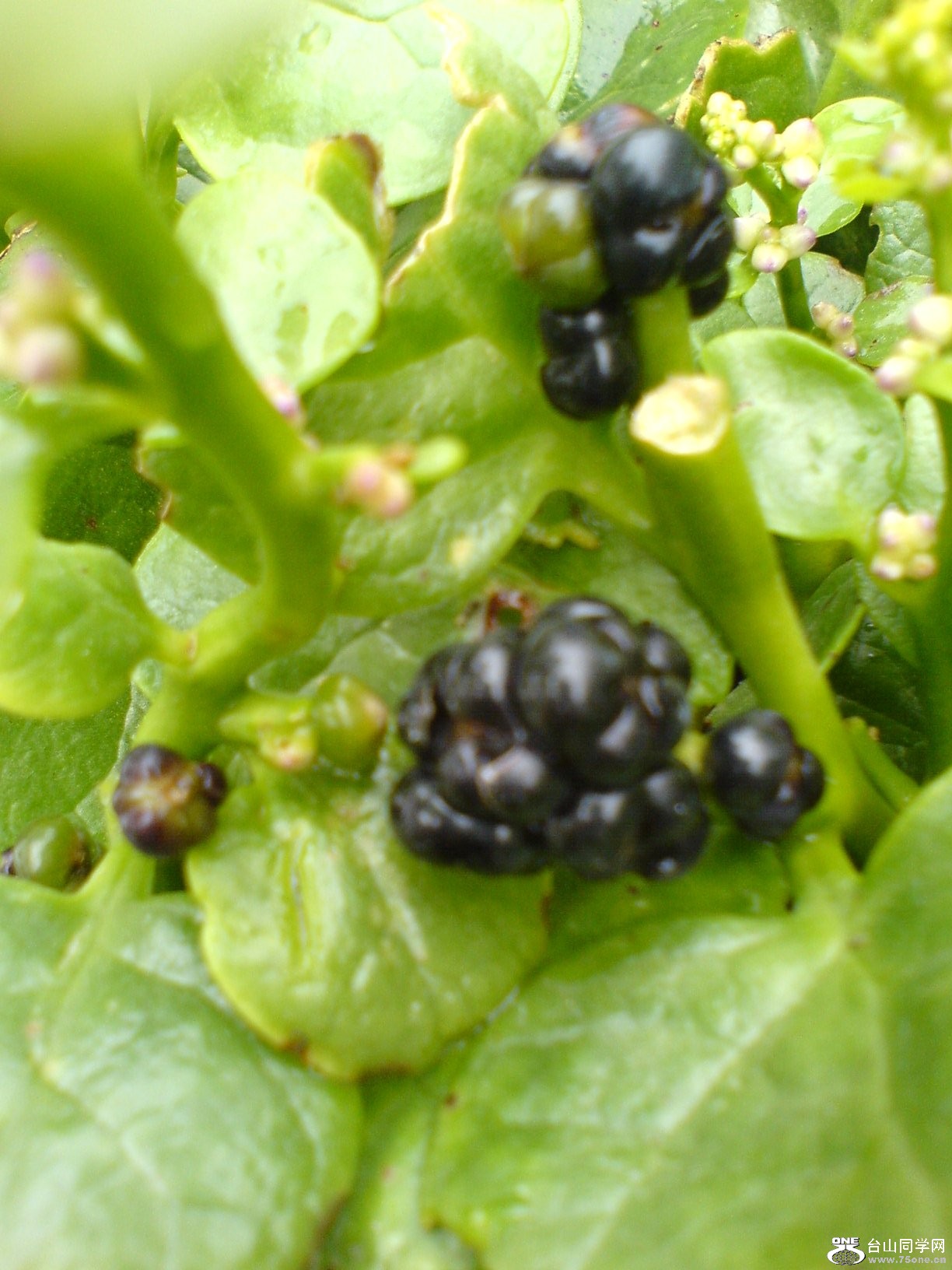DSC05324.JPG