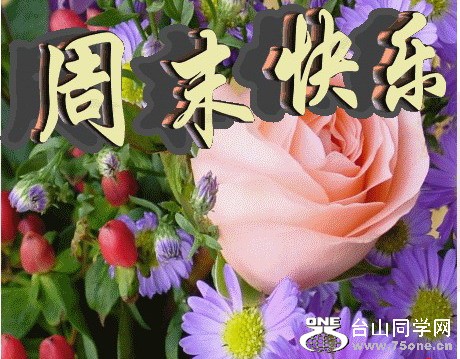 2009515213649.jpg