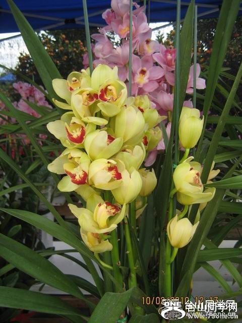 2010216231245.jpg