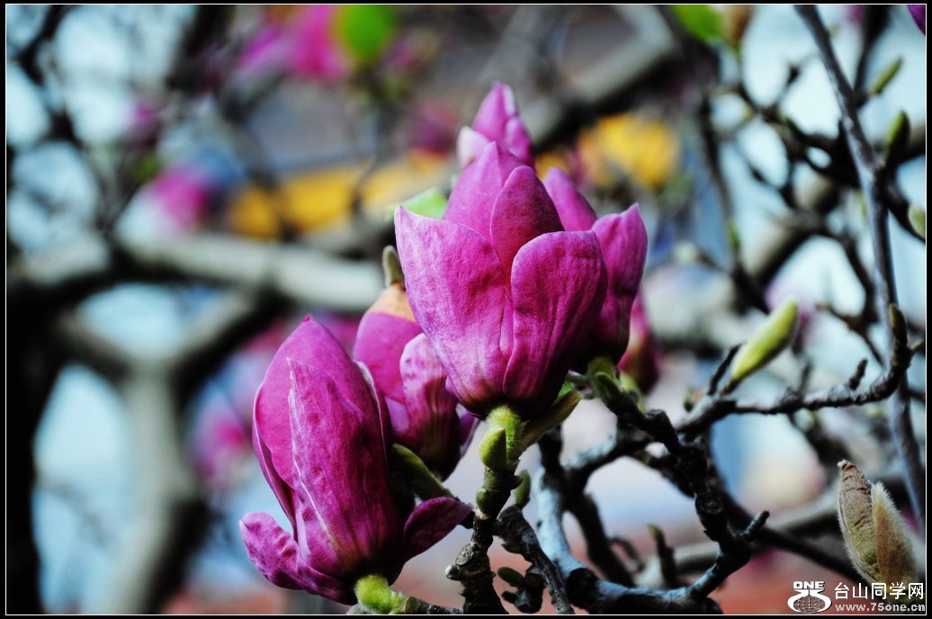 DSC_3436.jpg