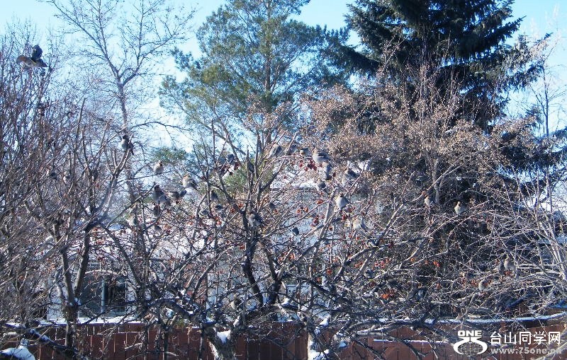 DSCF7005=0.jpg