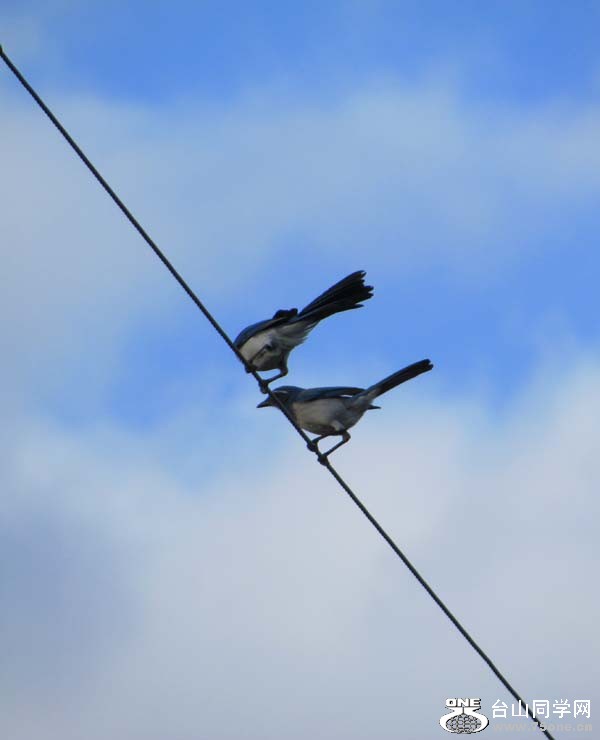 IMG_2650.JPG