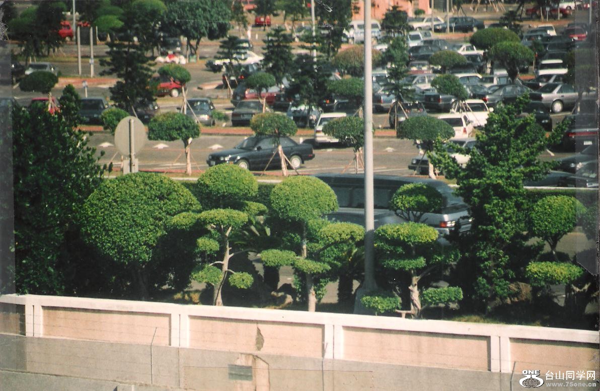 Image (17).jpg