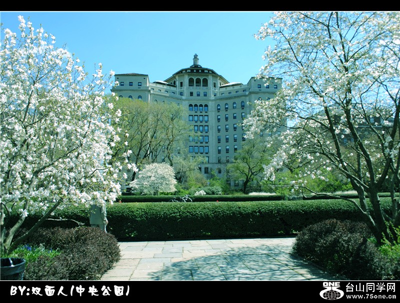 Picture 043_.jpg