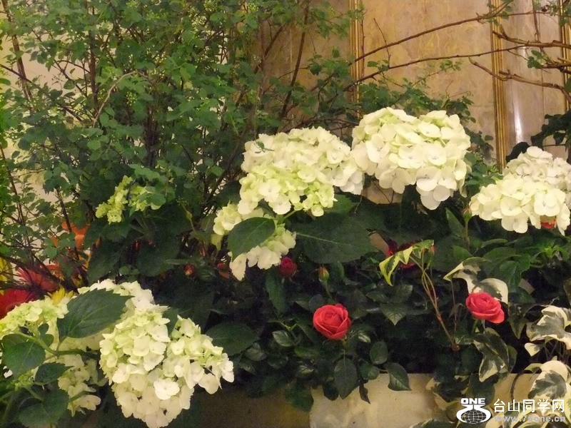DSCF1952.JPG