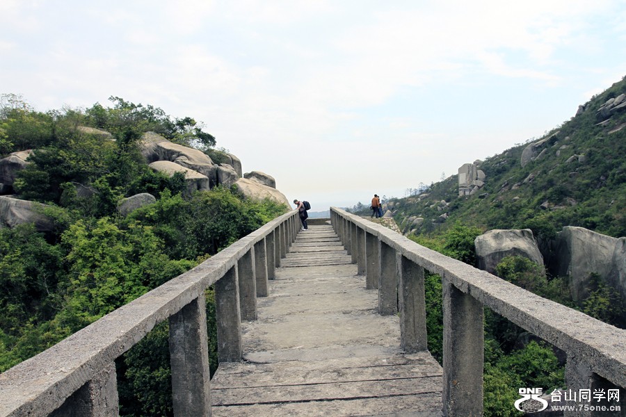 _MG_6462.JPG