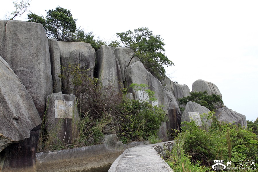 _MG_6442.JPG