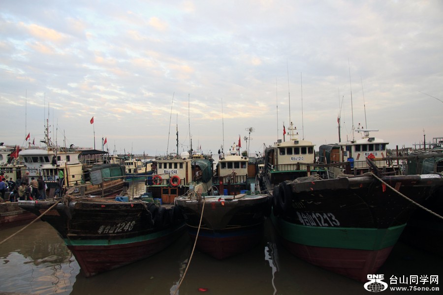 _MG_6642.JPG