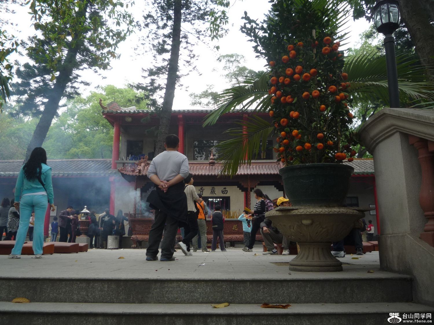 P1040663A.jpg