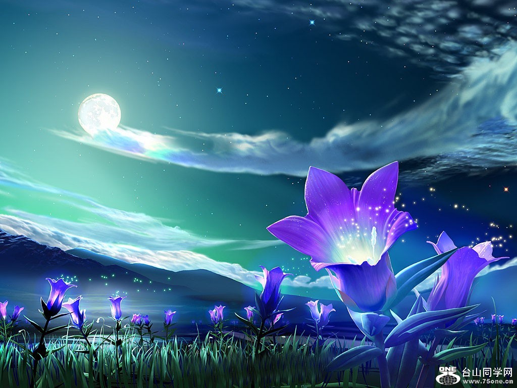 purple-flowers.jpg