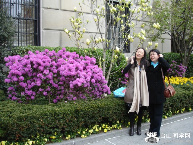 201142 027.jpg