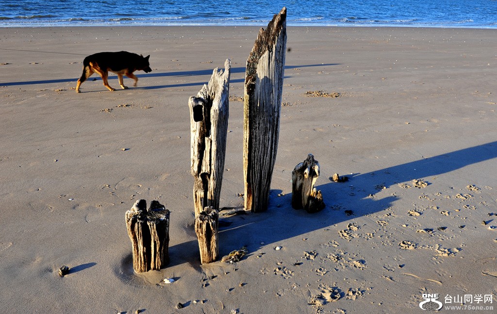 DSC_9929.jpg