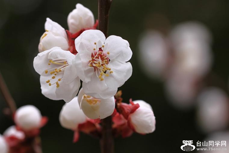 }u -}u -IMG_4133.jpg