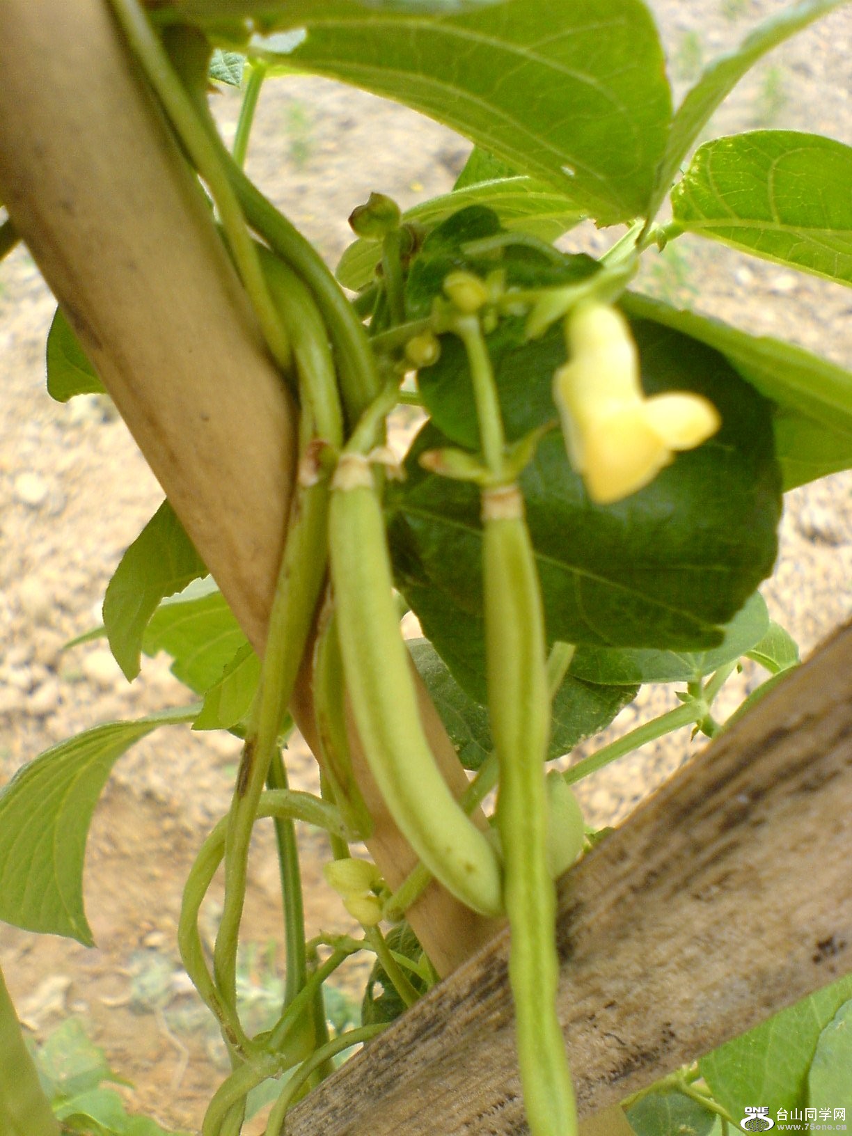 DSC05465.JPG