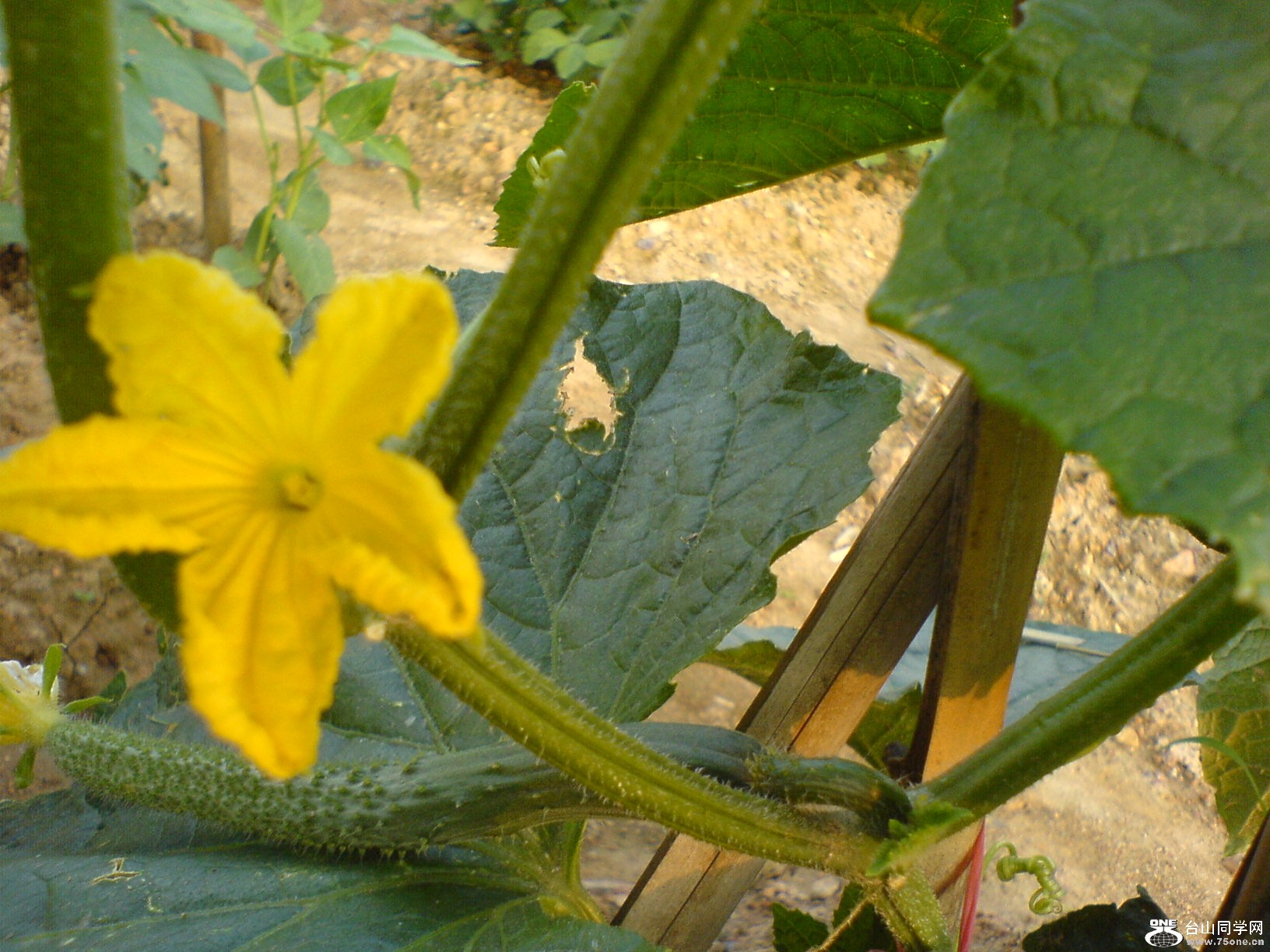 DSC05657.JPG