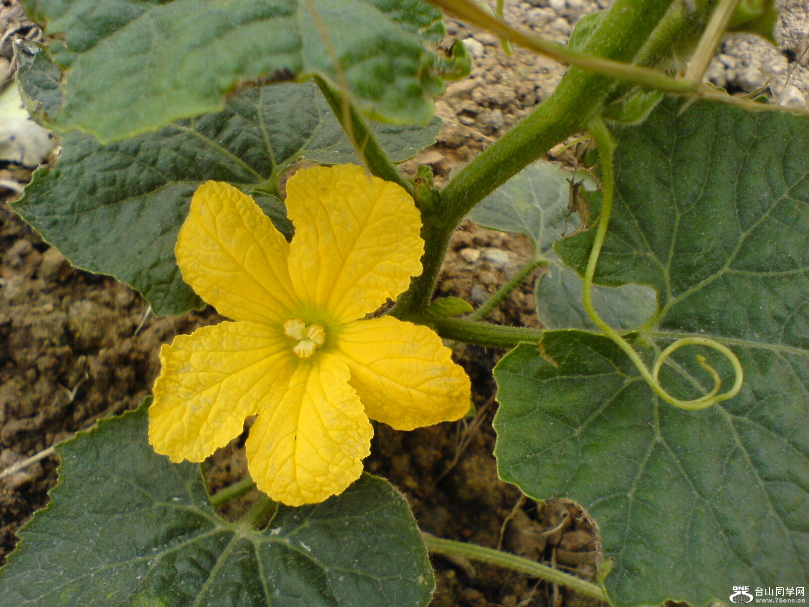 DSC05476.JPG