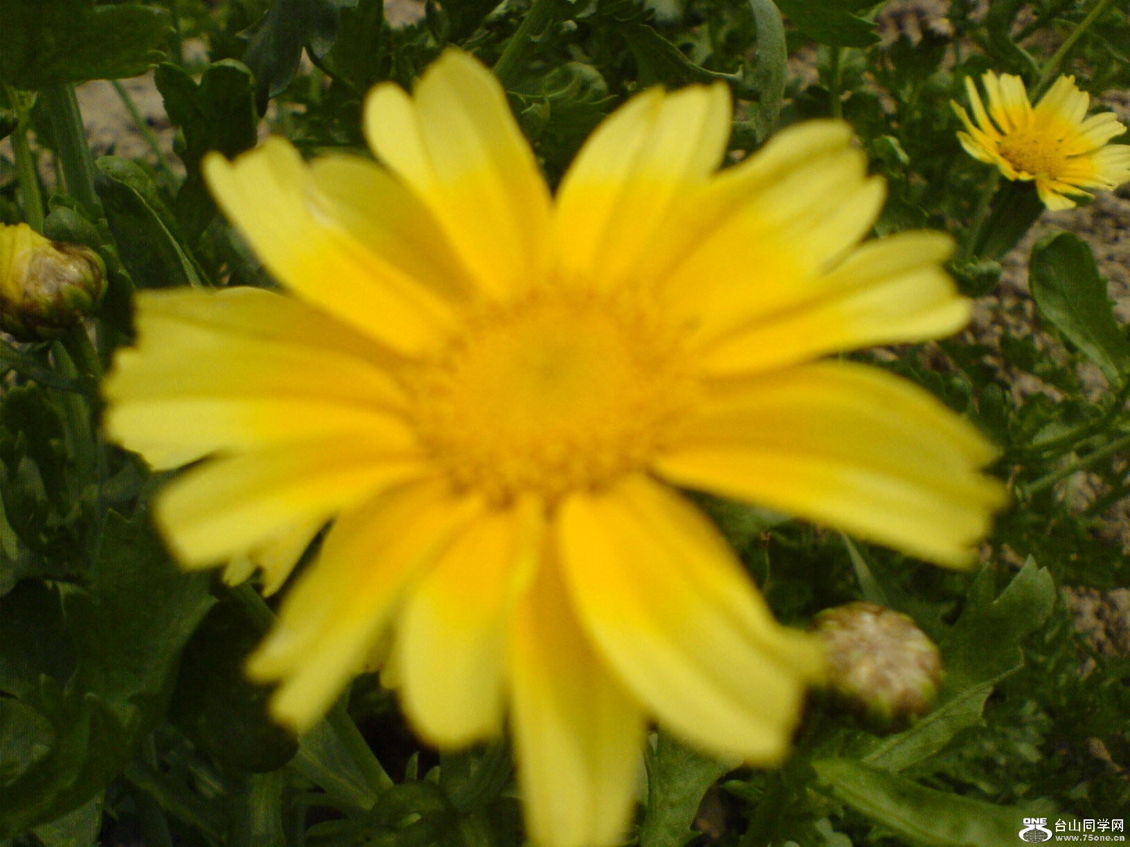 DSC05493.JPG