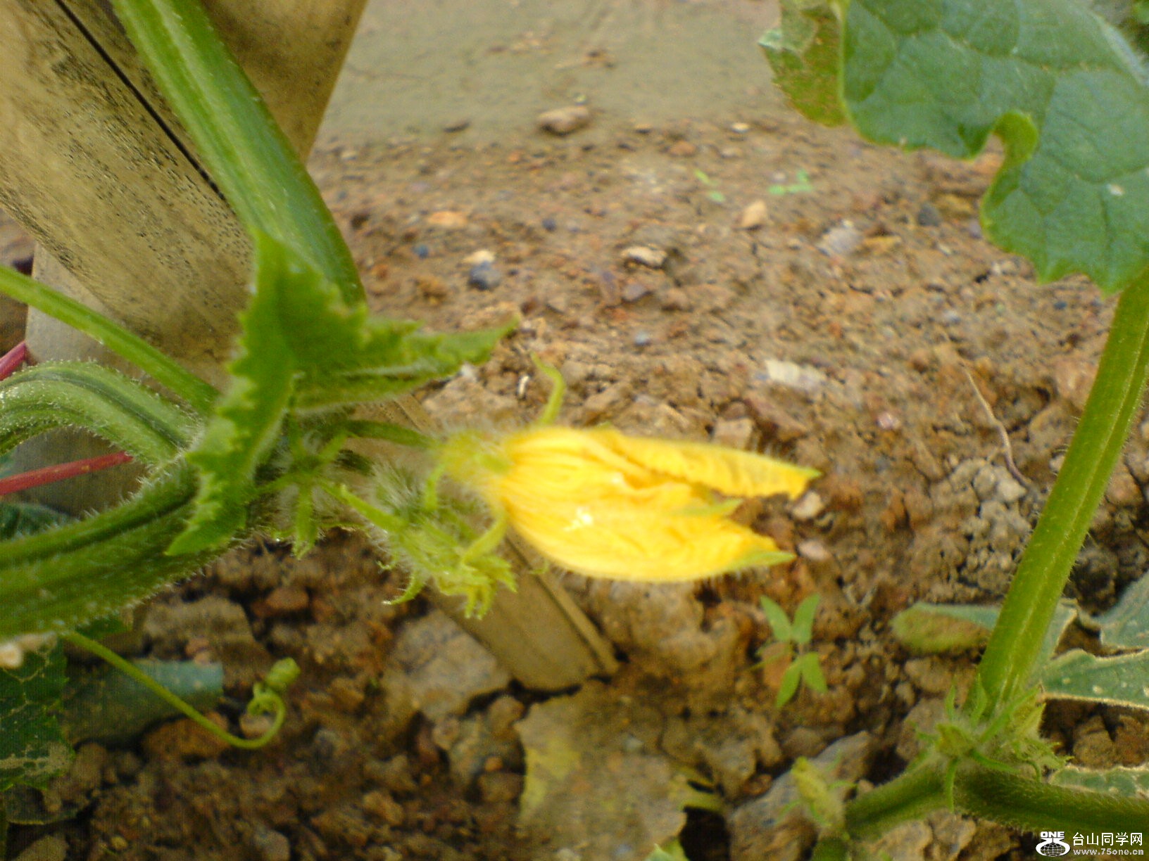 DSC05663.JPG