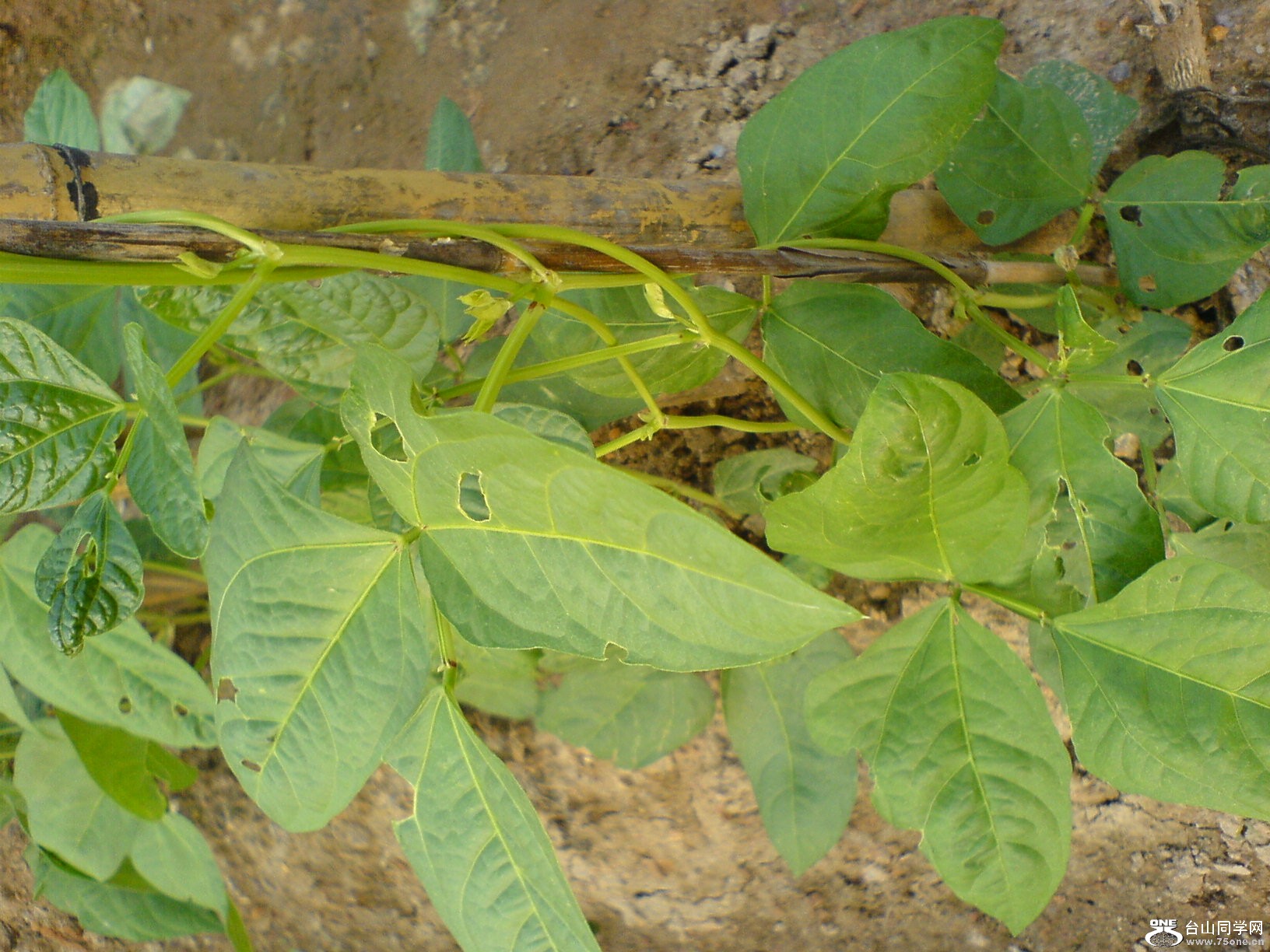 DSC05670.JPG