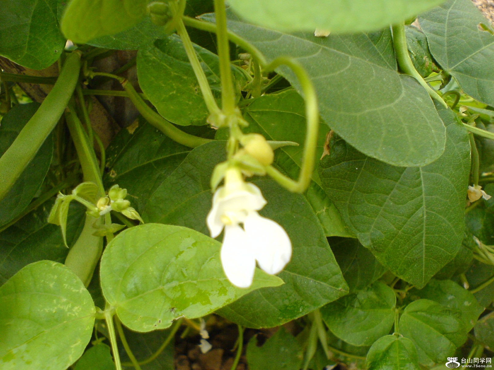DSC05469.JPG