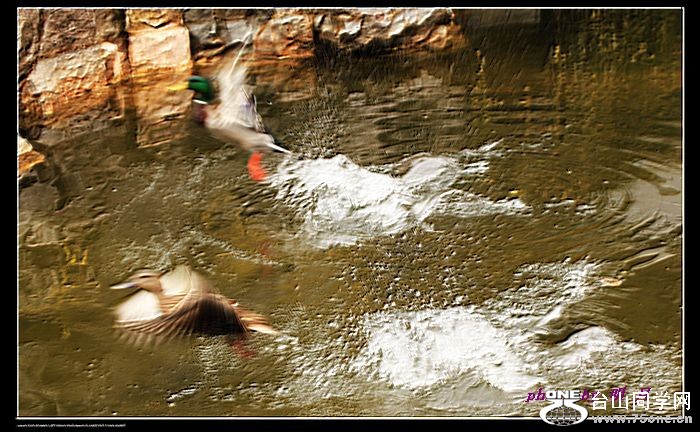 IMG_9459.jpg